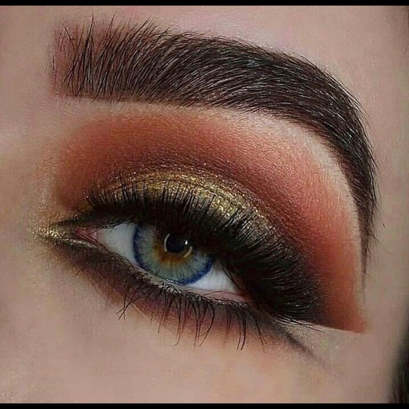 Pro Blue Serie - Picture 6 of 11